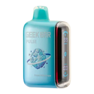 GEEK BAR Disposable Vape 일회용 전자담배 온라인 구매
