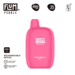Flum Pebble 6000 BerryMelon Icy 50mg disposable vape 5% salt nicotine