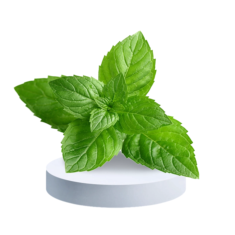Mint Flavor