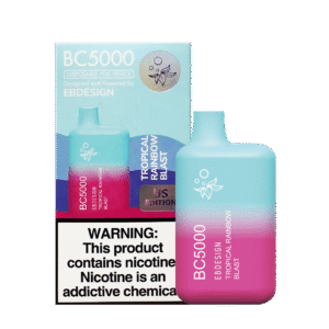 Tropical rainbow fruit vibe 트로피컬 과일과 레인보우 감성이 담긴 BC5000 이미지.