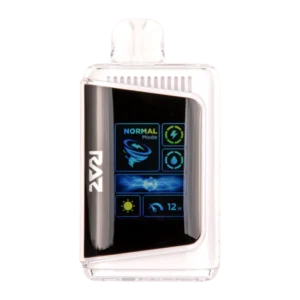 RAZ New York Mint DC 25K 디스포저블 베이프 — 쿨하고 달콤한 민트 블렌드, rich New York style mint flavor with deep cooling sensation, smooth 5% nicotine disposable vape, fast delivery in Korea.