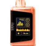 라즈 DC25000 조지아 피치 5% 일회용 전자담배