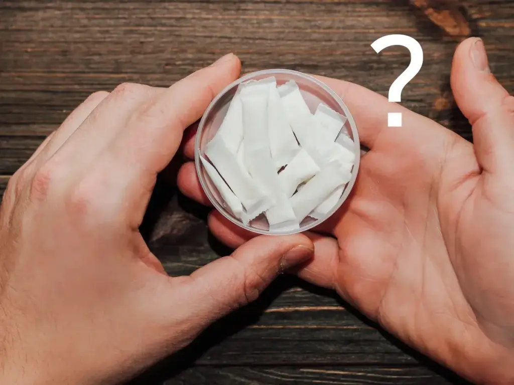 what is nicotine pouch