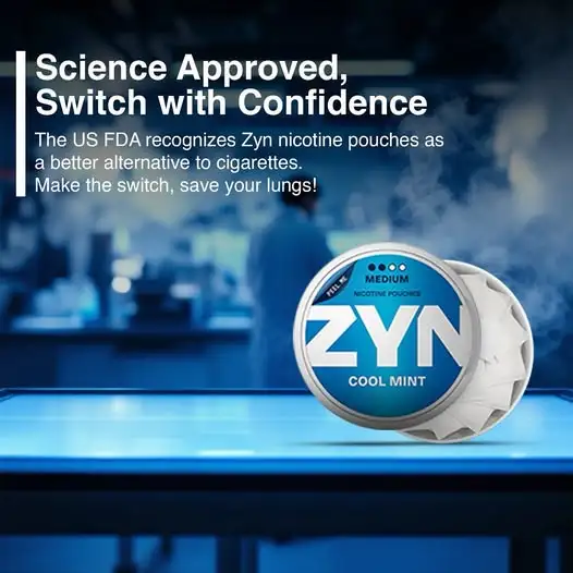 are zyn fda approved?